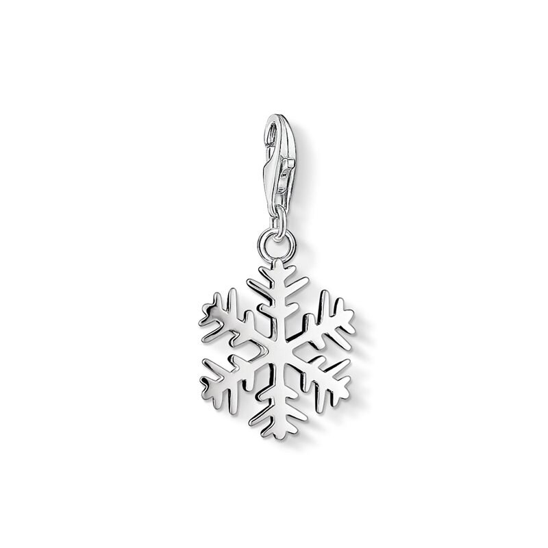 Product Image for Charm pendant snowflake