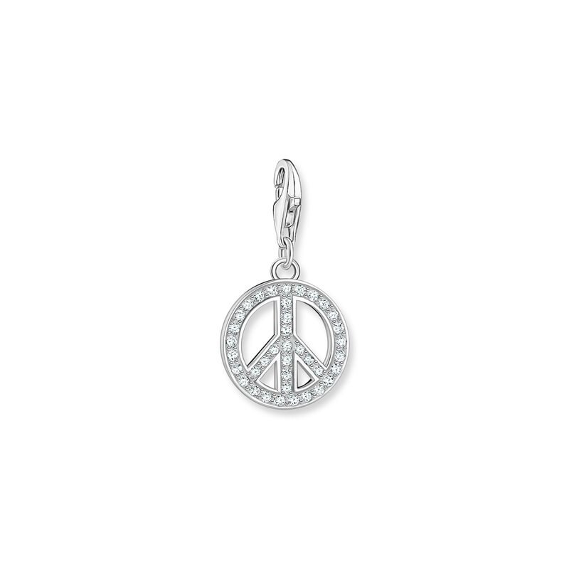 Product Image for Charm pendant