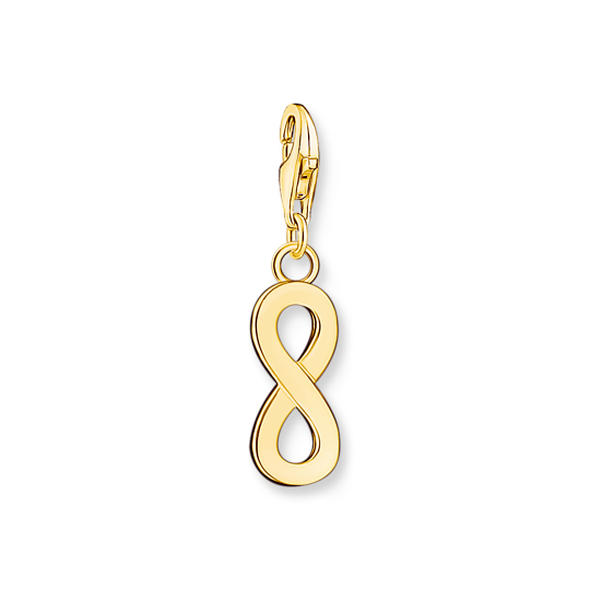 Product Image for Charm-hängsmycke Evighet