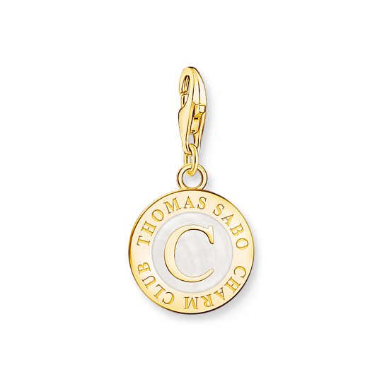 Product Image for Charm-hängsmycke mynt