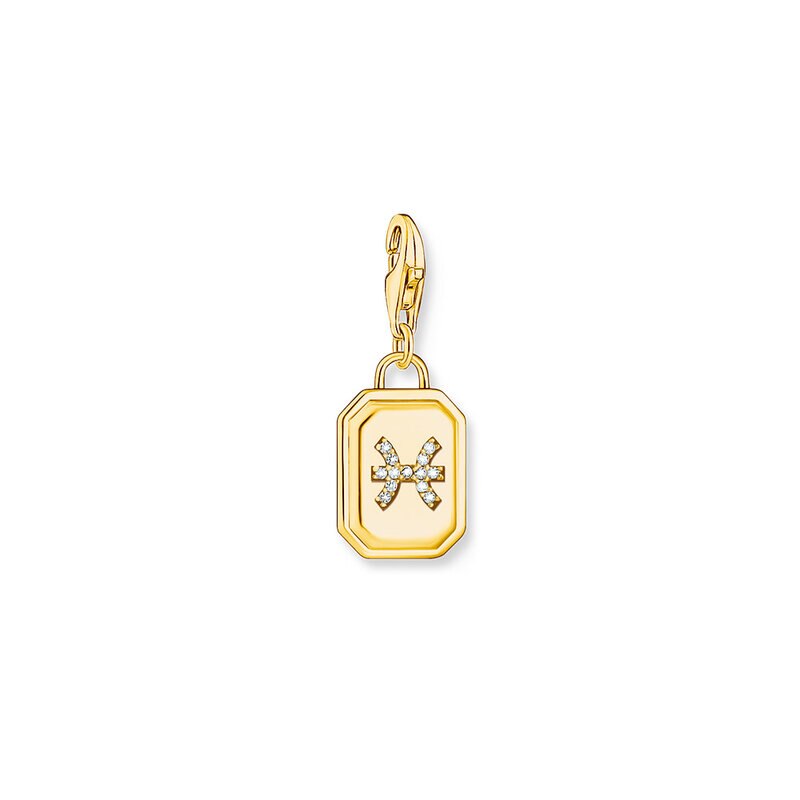 Product Image for Charm CharCharm-hängsmycke stjärntecknet Fiskarnam-hängsmycke stjärntecknet Fiskarna