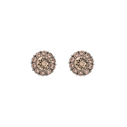 Product Image for Miss Sofia earrings - Light silk (Silver)