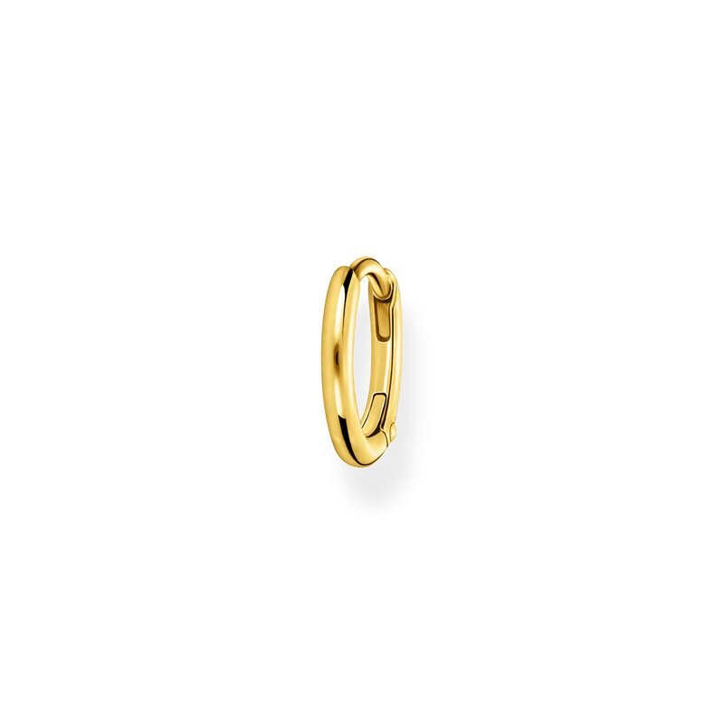Product Image for Creolörhänge classic guld