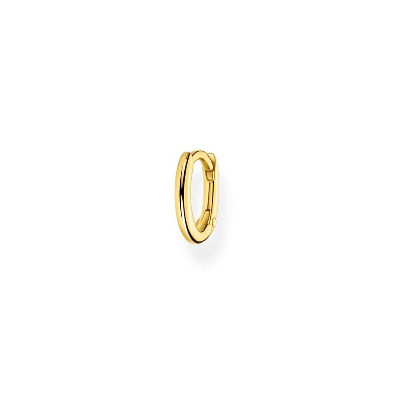 Product Image for Creolörhänge classic guld
