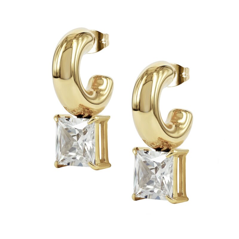 Product Image for SIERRA örhängen