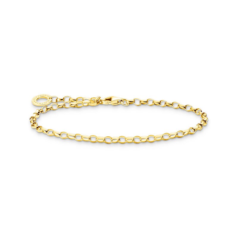 Product Image for Charm-armband guld 17 cm