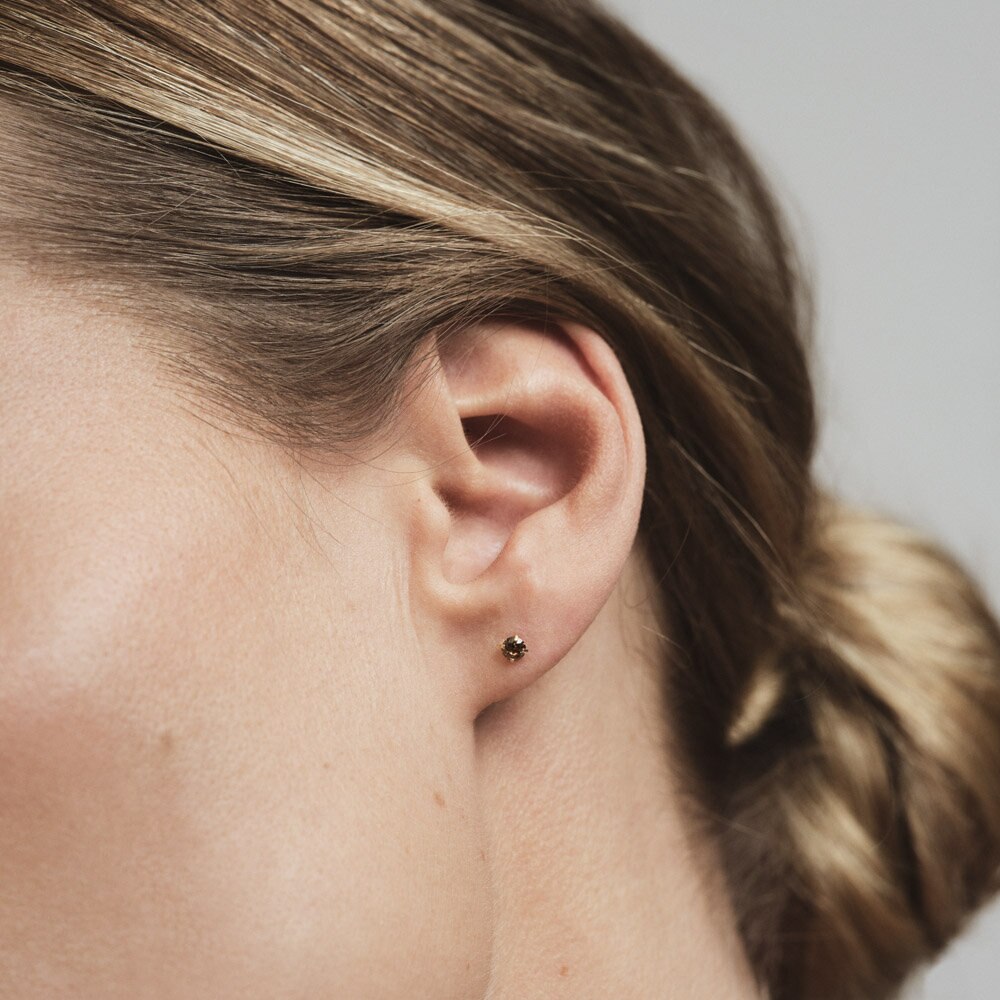 Jolie Gold Small Stud - Coffee