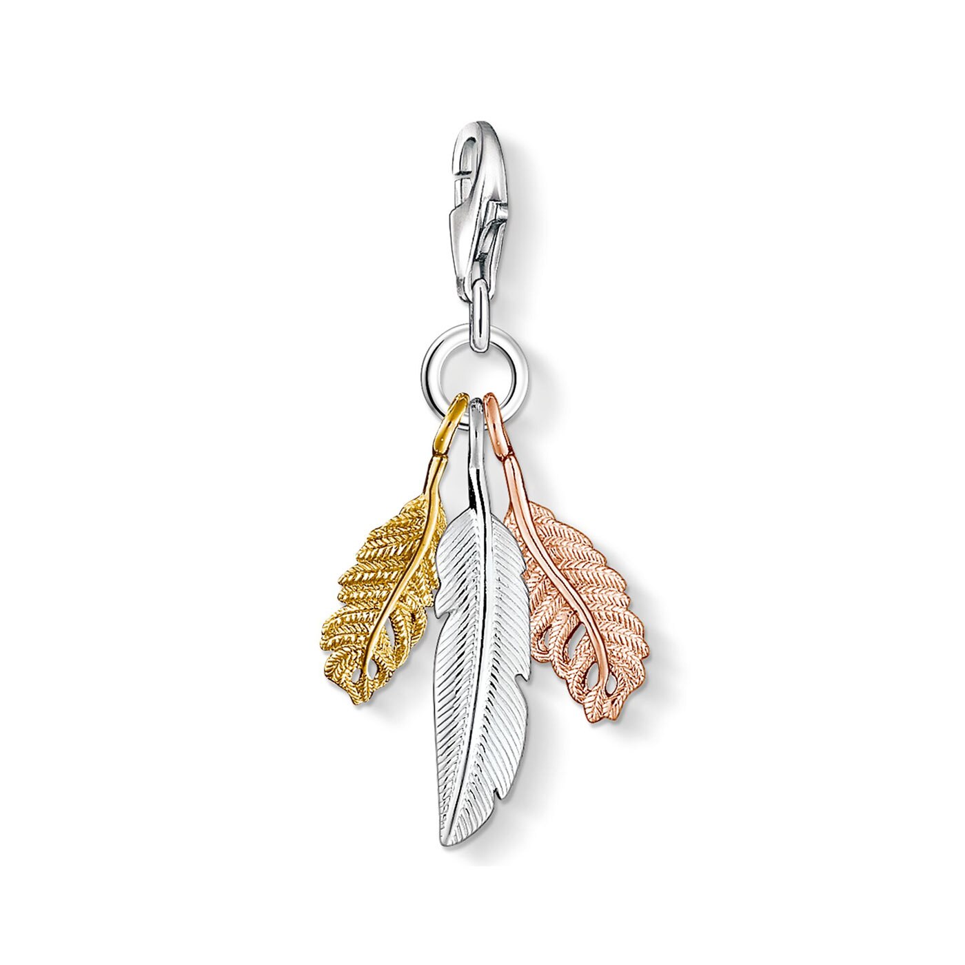 Charm pendant feathers