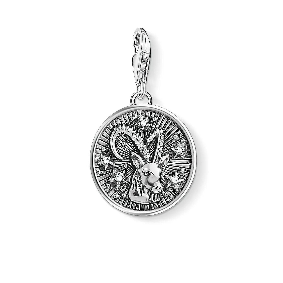 Charm pendant zodiac sign Capricorn