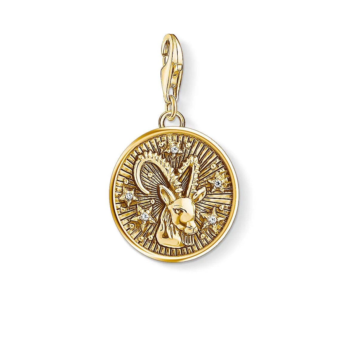 Charm pendant zodiac sign Capricorn