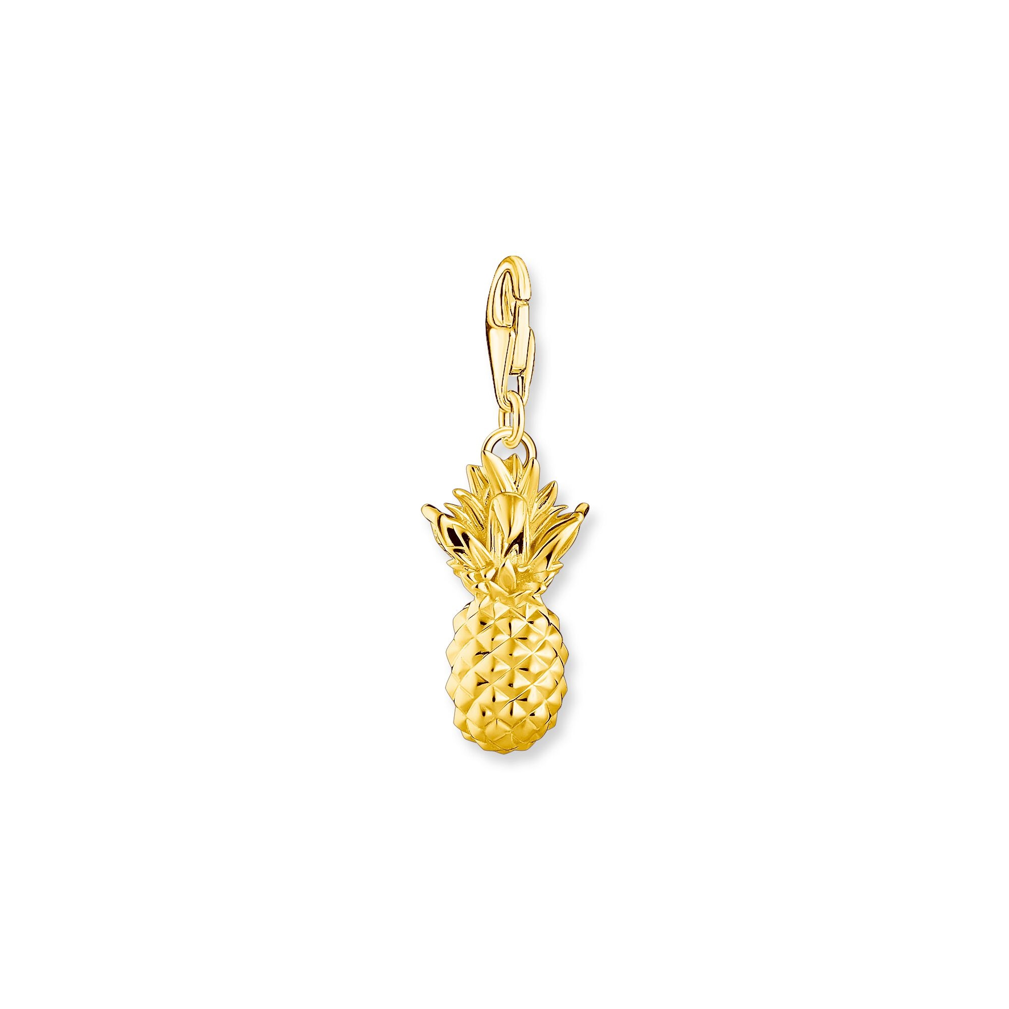 Charm pendant
