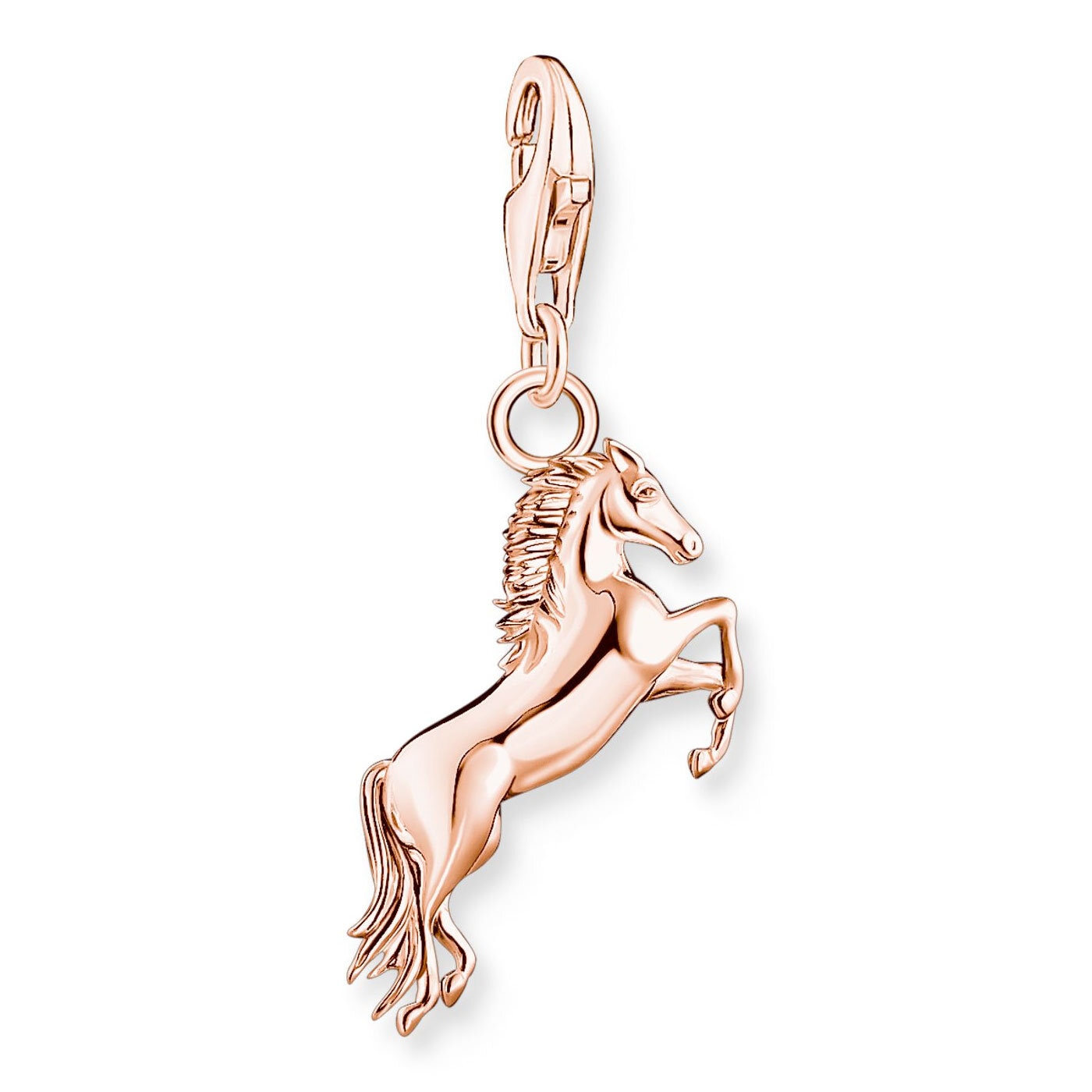 Charm pendant