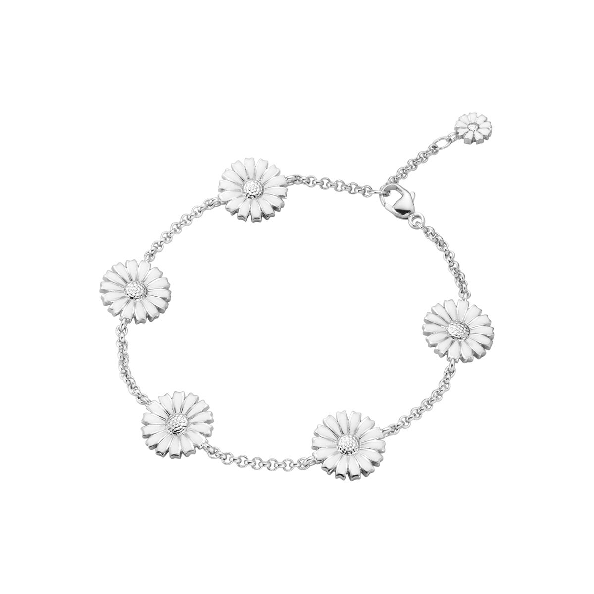 DAISY Armband