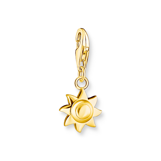 Charm-hängsmycke sol guldpläterad bricka silver