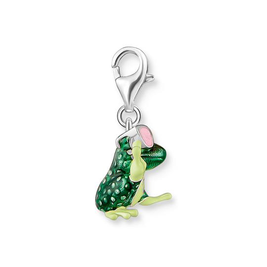 Charm-hängsmycke groda silver