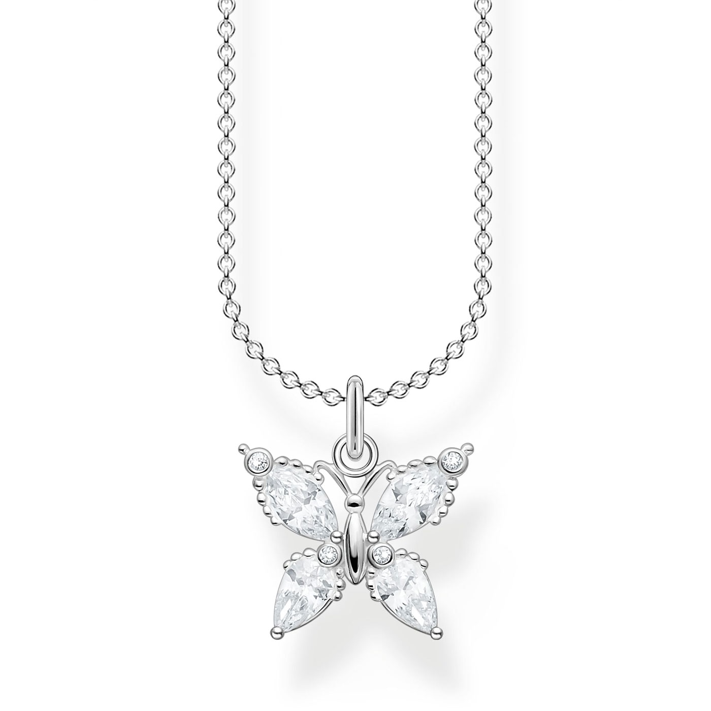 Halsband fjäril stor