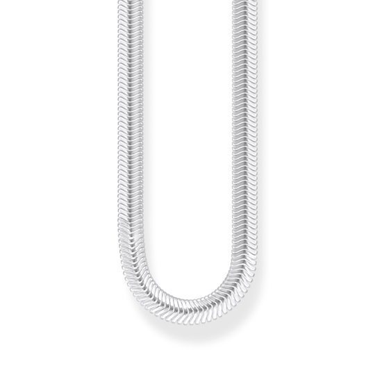 Halsband silverorm