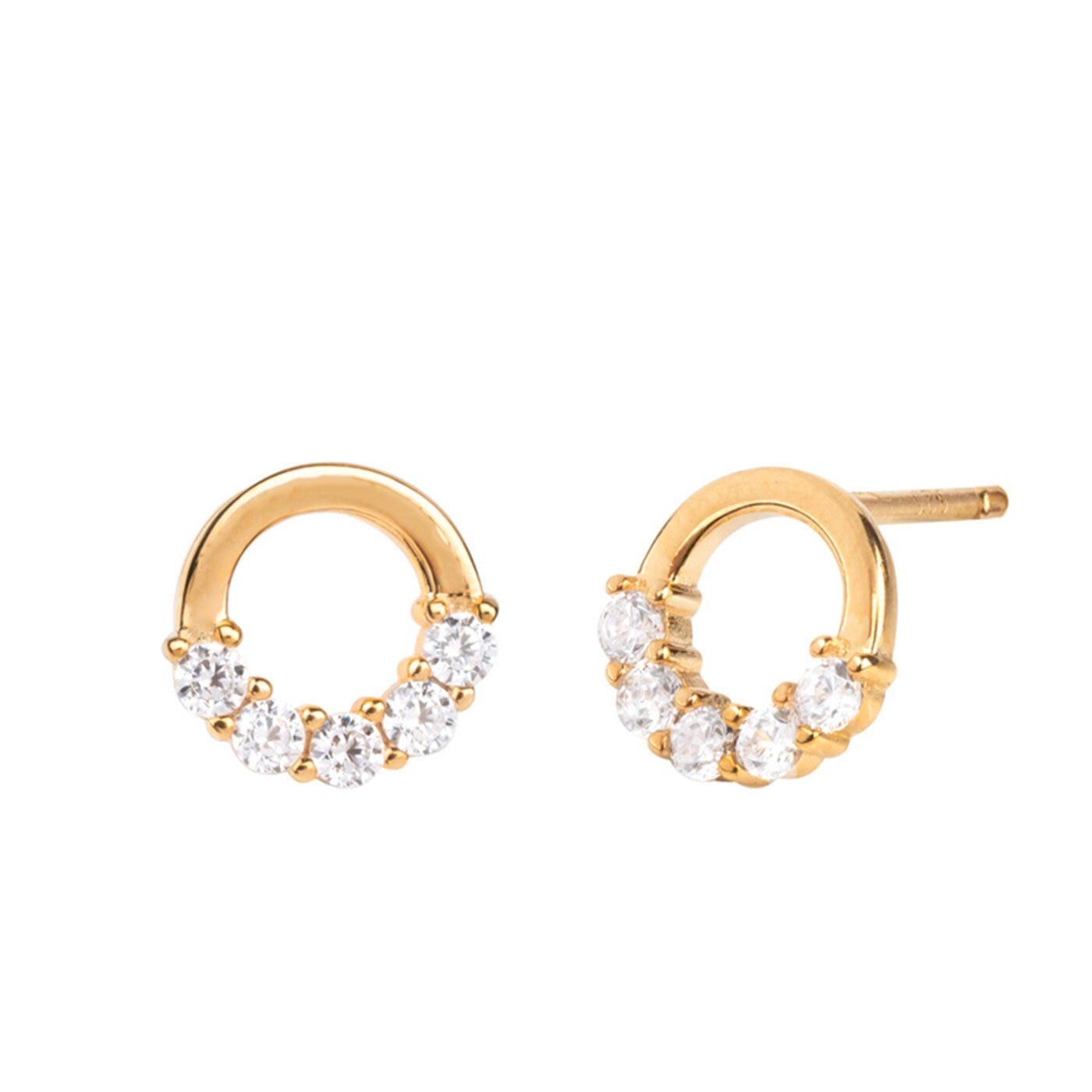 Circles zircons earrings