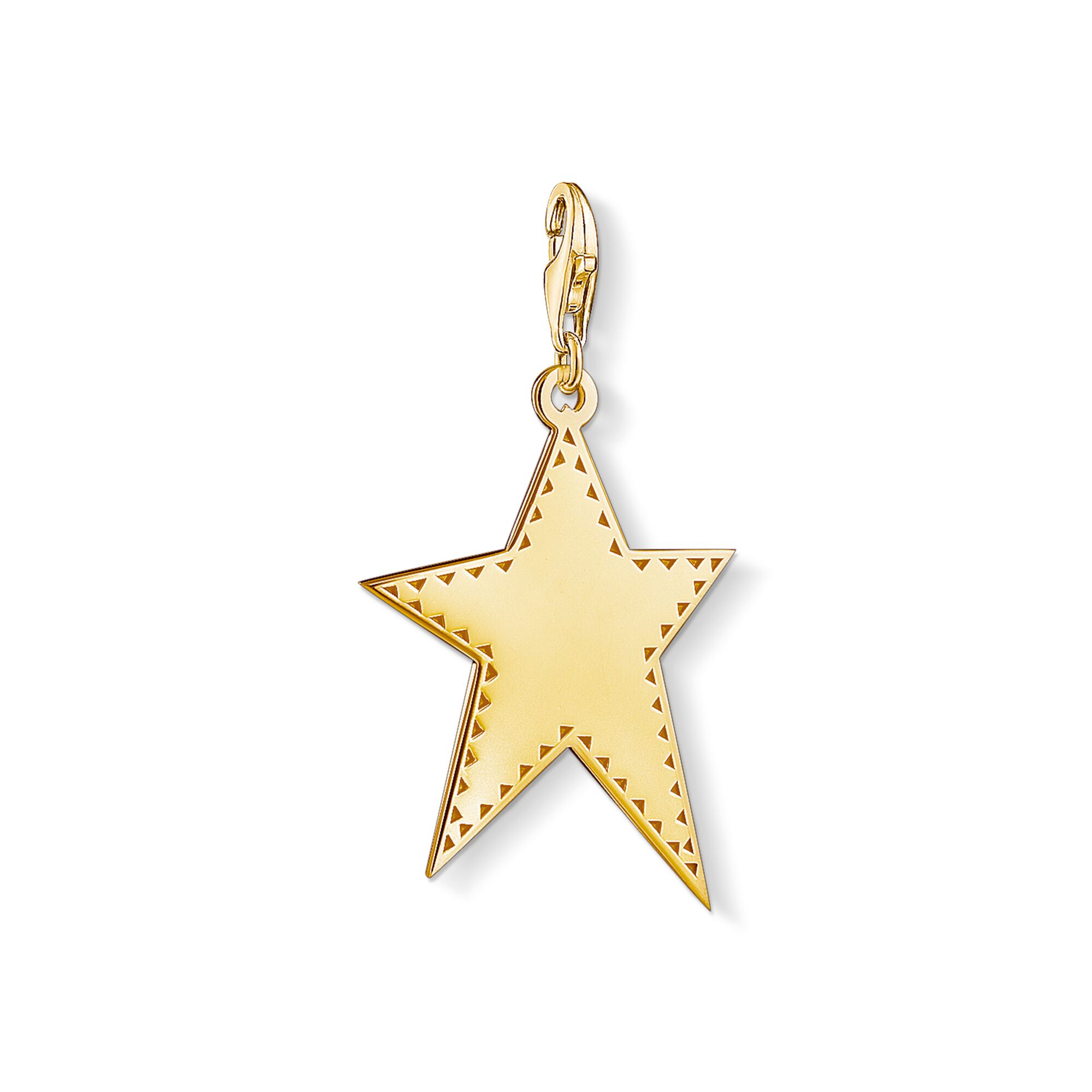 Charm pendant “Golden star”