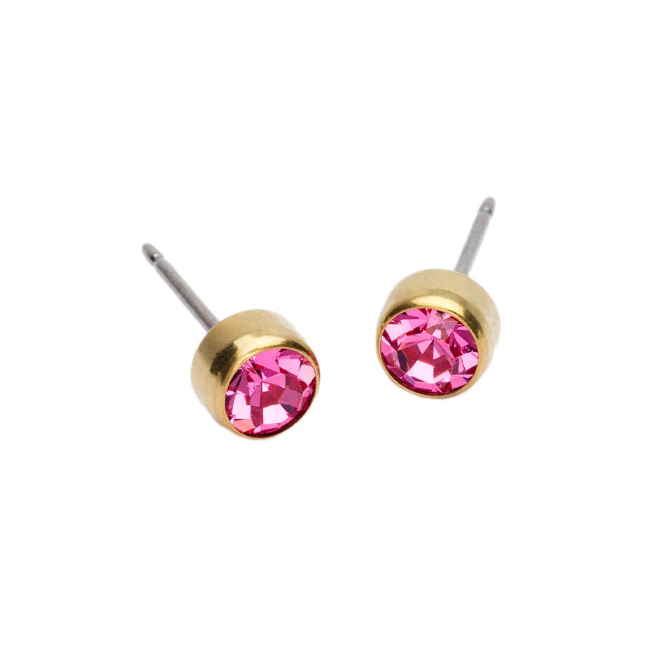 Bezel Örhängen 5 mm Rose 