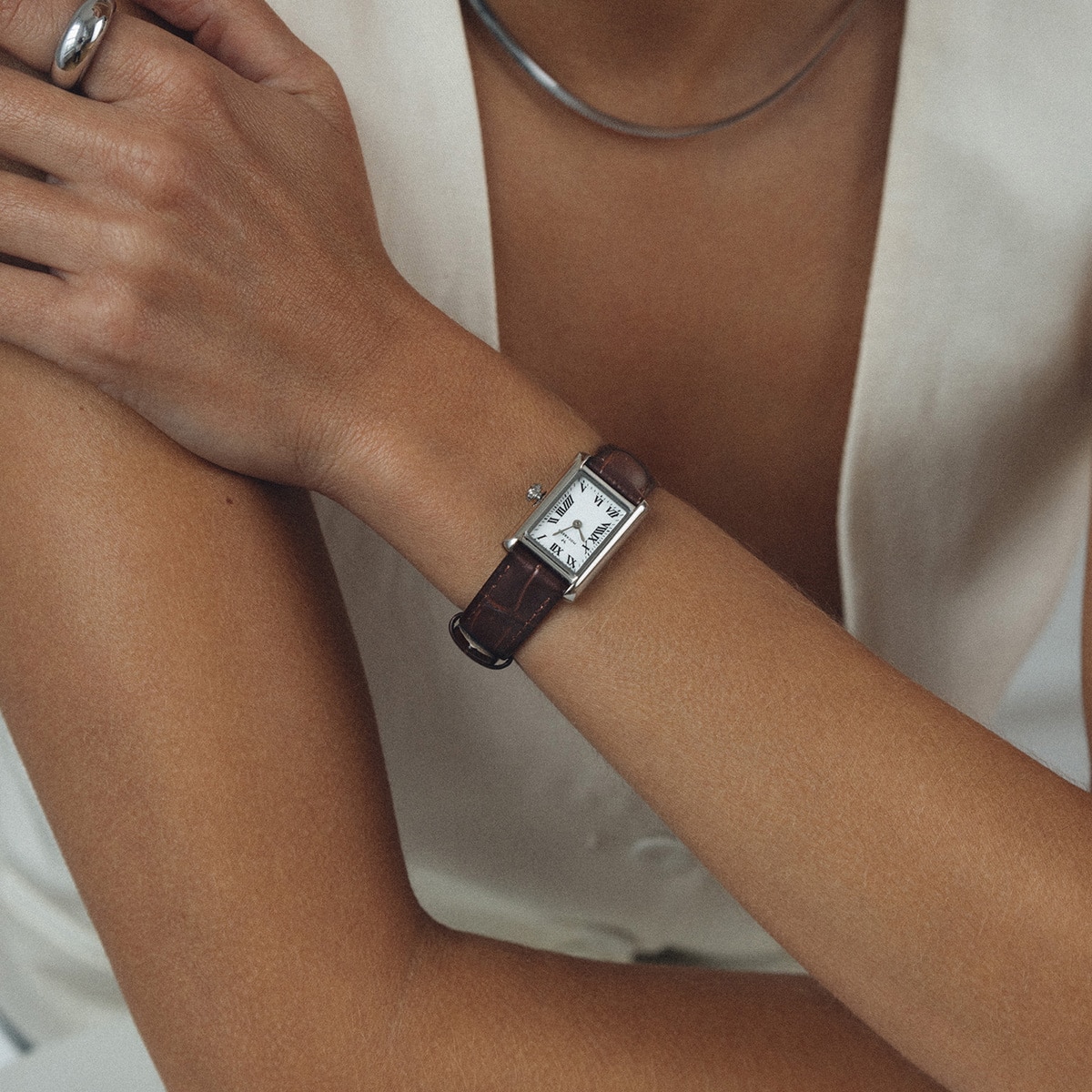 Timeless Brown Leather silver